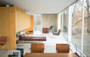 Read more about the article Quis ligula lacinia aliquet mauris ipsum